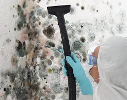 Best Residential Mold Inspection & Testing in Poth, TX